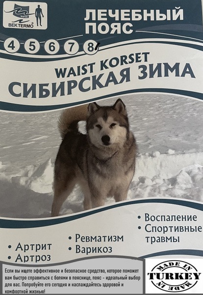 Back Support Belt with Dog Hair - Siberian Winter XL