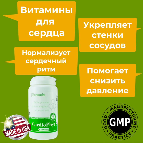 Cardiophyt Santegra: Dietary Supplement for Cardiovascular Health & Immune Support (60 Capsules)