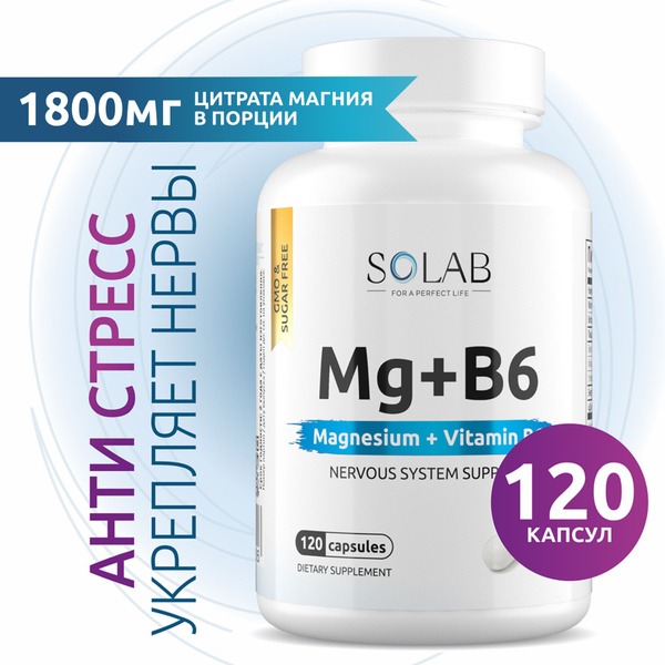 Magnesium Citrate with Vitamin B6 (120 Capsules)