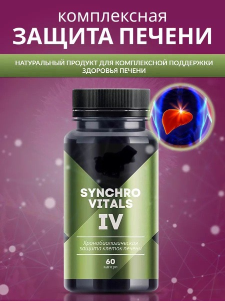 Liver Support Supplement with Chronobiological Formula: Synchrovital IV, 60 Capsules