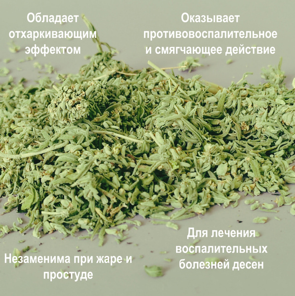 Limited Edition Armenian Coltsfoot Herbal Tea (20g) - Jiena Natura