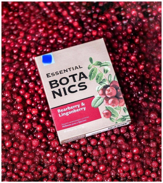 Bearberry & Bear's Ear Essential Botanicals Capsules (30 Count)