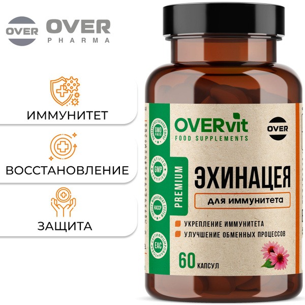 Echinacea Immune Support Supplement - 60 Capsules