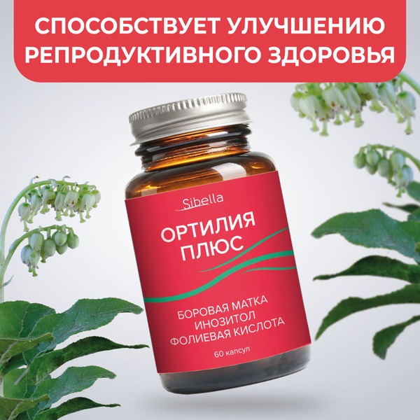 Sibella Borovaya Matka: 60 Capsules for Women's Reproductive Health