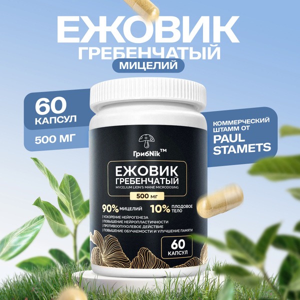GribNik Lion's Mane Mushroom Capsules, 500mg, 60 Capsules
