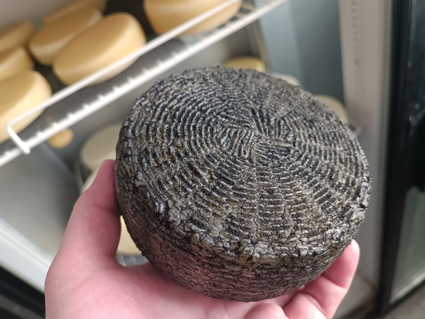 Craft Canestrato Cheese