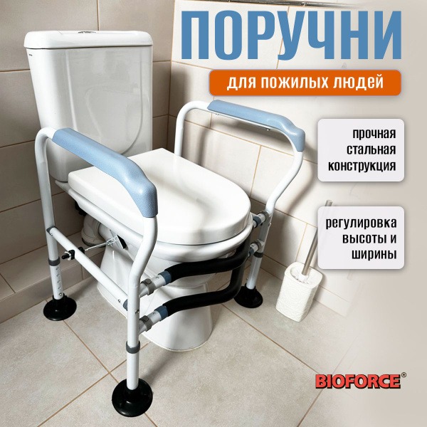 Disability-Friendly Toilet Grab Bars