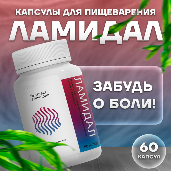 Lamidal Digestive Enzyme Capsules: Improved Digestion Support