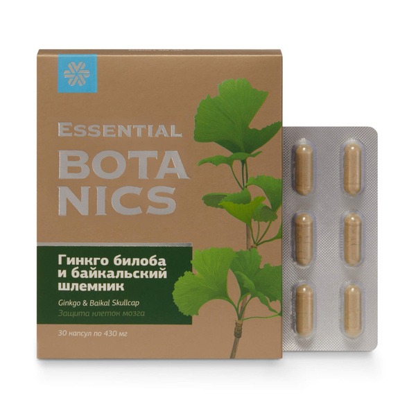 Ginkgo Biloba & Skullcap Memory Support - Essential Botanics (30 Capsules)