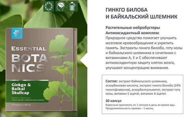Ginkgo Biloba & Skullcap Memory Support Supplement - 30 Capsules