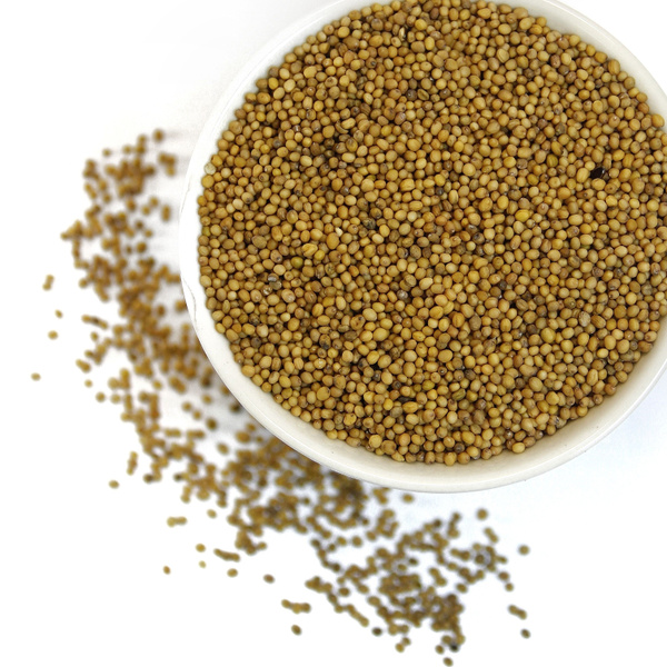 Yellow Mustard Seeds (100g) - Dried, Whole, Aromatic