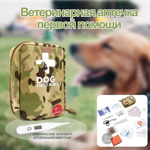 First-Aid Kit for Hiking & Camping