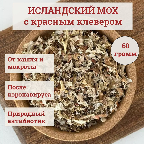 Icelandic Moss for Cough & Pneumonia (60g)