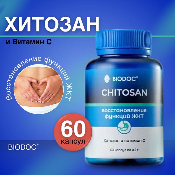 Chitosan Digestive Health Supplement: 60 Capsules (0.2g Each)