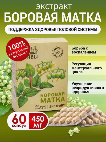 Borovaya Matka Capsules: Women's Health Supplement