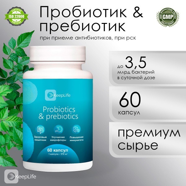 Gut Health Supplements: Prebiotics & Probiotics for Adults