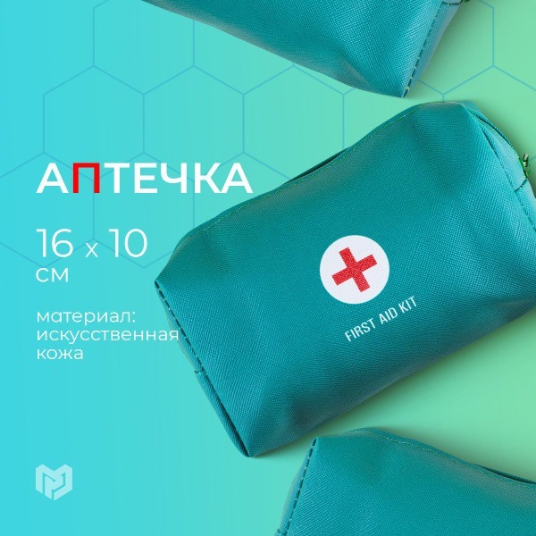 Luxury Faux Leather Travel First Aid Kit (16x10x5cm)