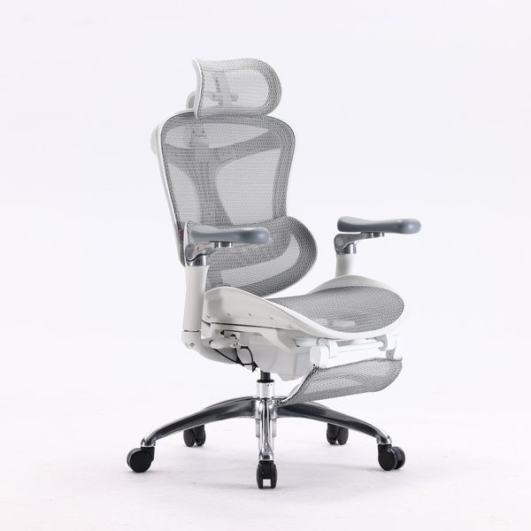 SIHOO C300 Gray Executive Office Chair