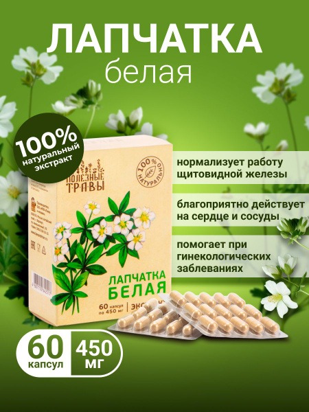 White Potentilla Root Capsules for Thyroid Support