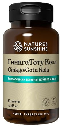 Ginkgo Biloba & Gotu Kola Supplement: NSP's Powerful Brain Boost