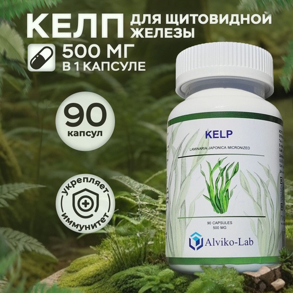 Alviko-Lab Kelp 500mg Thyroid Support Supplement - 90 Capsules