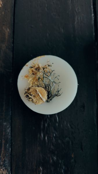 Laurel Hair Balm: Natural & Unscented Solid Hair Conditioner