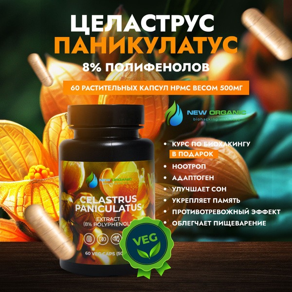 Celastrus 60 Capsules: Antioxidant, Calming Nootropic for Brain & Memory