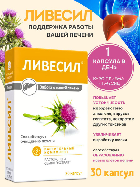 Milk Thistle Seed Extract 440mg Capsules (30 Count)