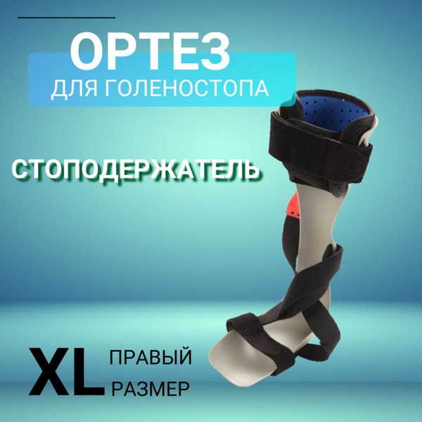 Ankle Support Brace - Men's & Women's Right XL
