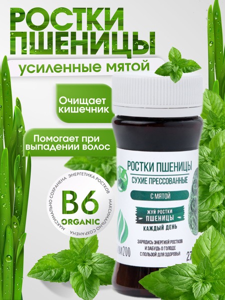 Wheatgrass Detox: 140 Mint Capsules for Gut Cleansing