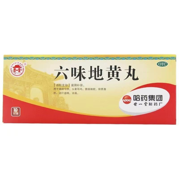 Liu Wei Di Huang Wan Kidney Pills (10 Honey Pills)