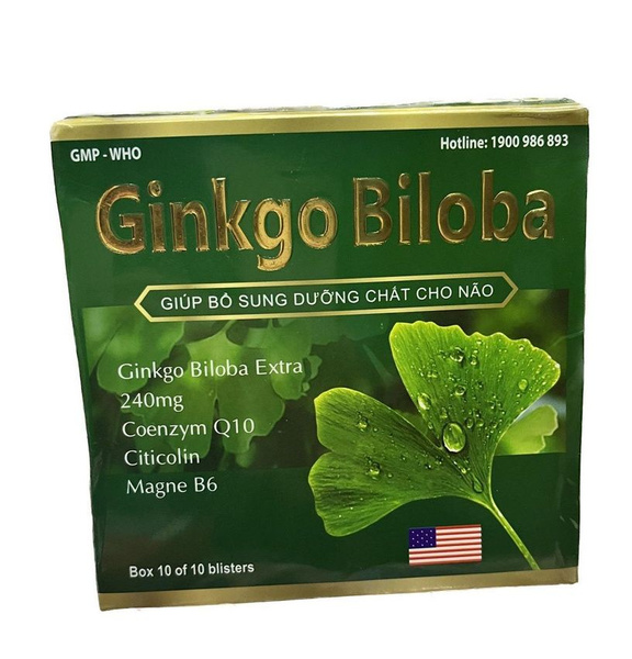 Ginkgo Biloba, Magnesium B6, & CoQ10 Brain Supplement - 240mg, 100 Capsules