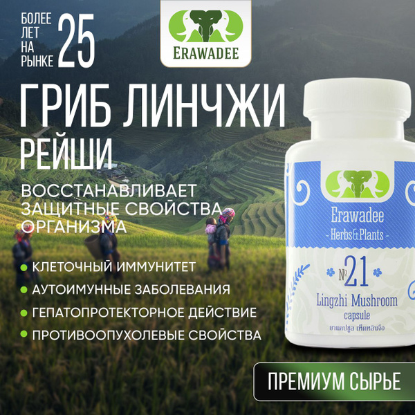 Reishi Mushroom Immune Support Capsules: Antioxidant & Antiviral (Herpes, HPV) Detox Supplement - 100 Count