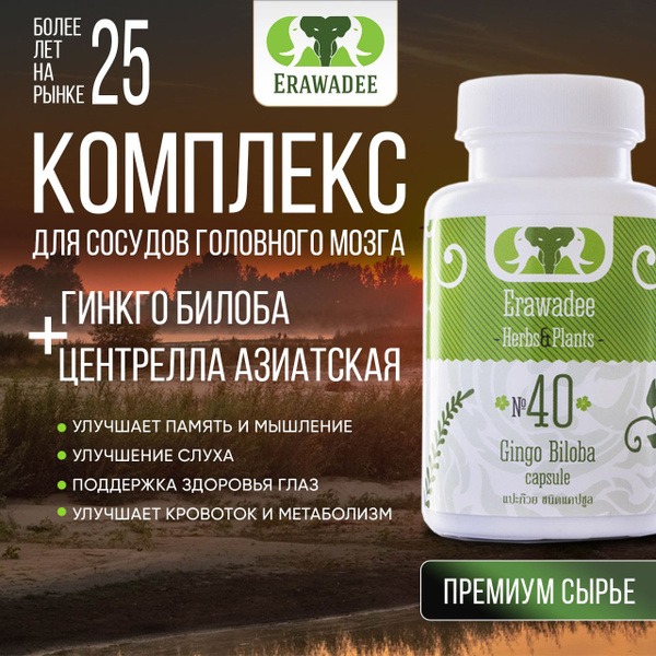Ginkgo Biloba & Centella Asiatica: Brain, Memory & Heart Health Supplement (100 Capsules)