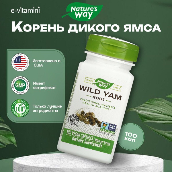 Nature's Way Wild Yam Root Supplement - 425mg, 100 Vegan Capsules