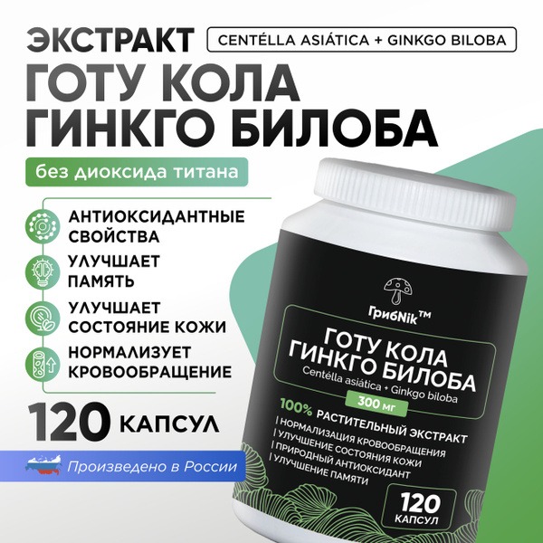 Ginkgo Biloba Capsules 120 Count (300mg) - ГрибNik