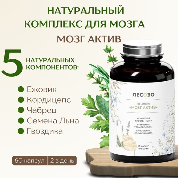 Lion's Mane Brain Boost: 60 Capsules