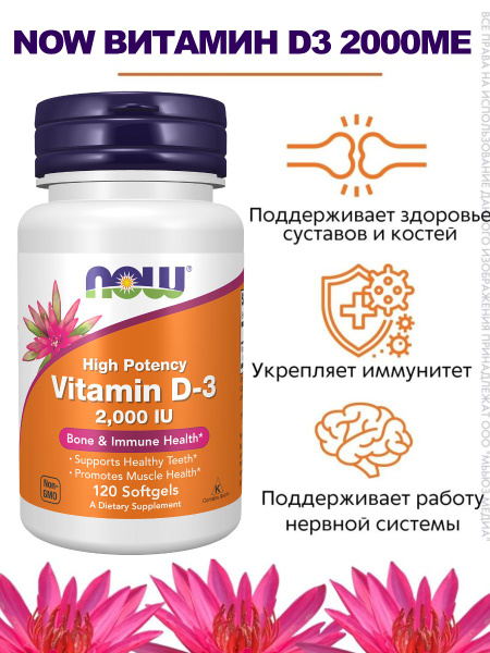 High-Potency Vitamin D3 2000 IU (120 Capsules)