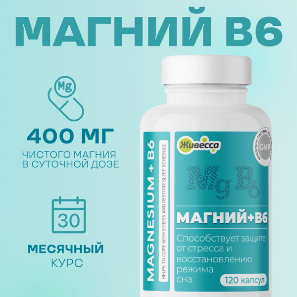 Magnesium B6 for Stress & Sleep: 400mg Magnesium + 6mg B6 (120 Capsules)