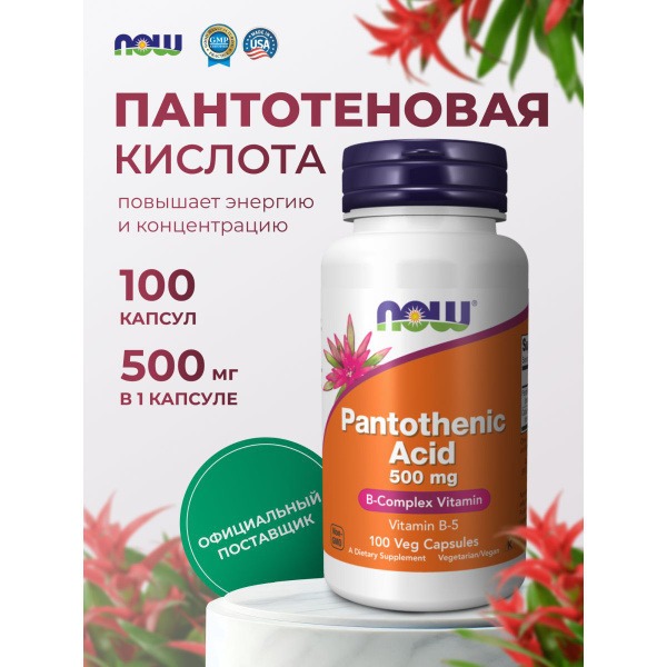 Vitamin B5 500mg Pantothenic Acid Capsules (100 Count)