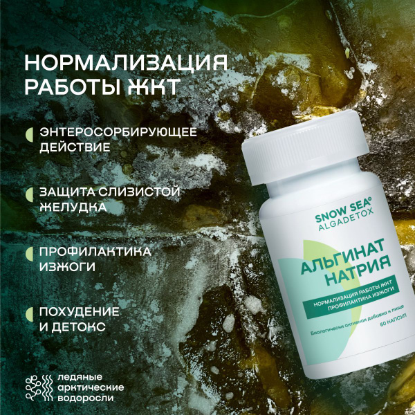 Sodium Alginate Supplement for Gut Health & Detox: 60 Capsules