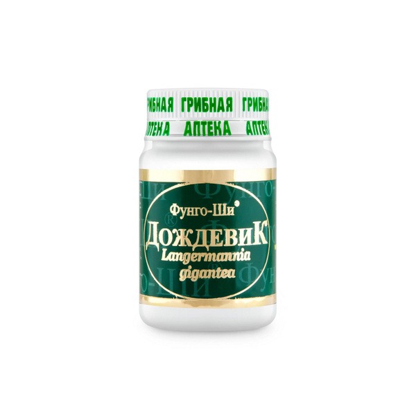 Rain Mushroom (Calvatia gigantea) Supplement - 60 Capsules