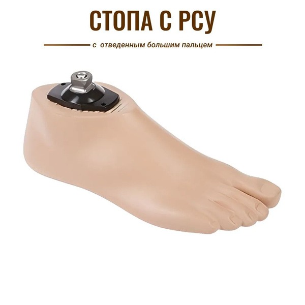 Left Foot Prosthetic Socket with RSU 26, Shoe Size 40-41 (AS10-C)