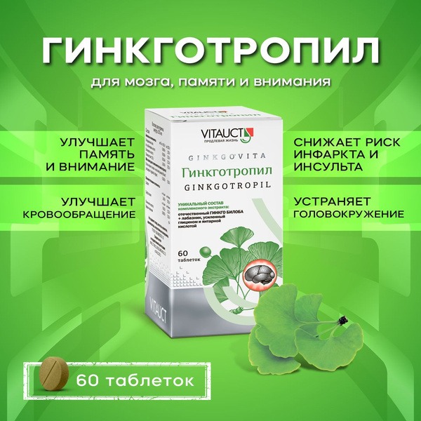 Ginkgo Biloba Extract for Brain, Memory & Focus (60 Tablets)