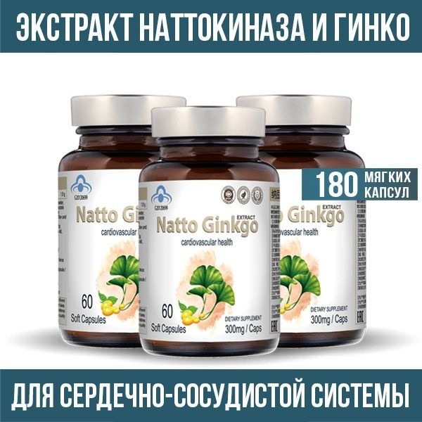 Nattokinase & Ginkgo Biloba: Blood Thinner Supplement for Heart, Brain & Memory Health (180 Capsules)