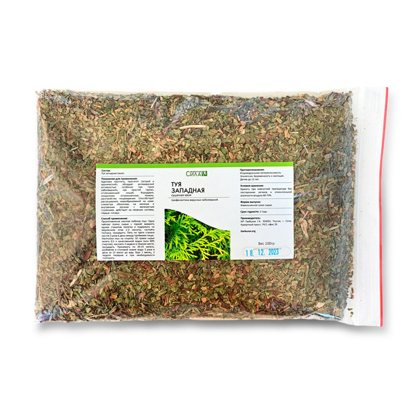 Western Red Cedar Dried Needles