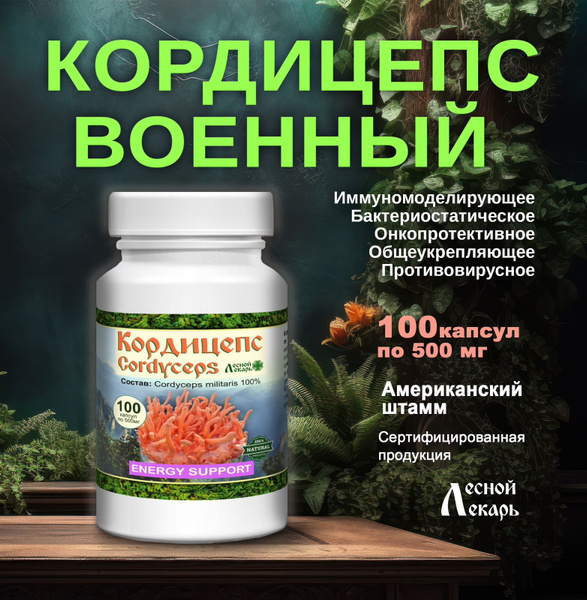 Cordyceps Militaris: Benefits, Uses & Where to Buy