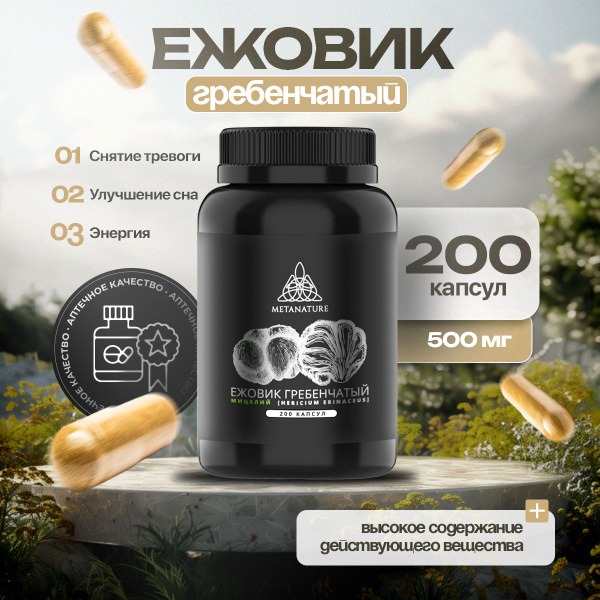 Lion's Mane Mushroom Capsules (200 Count)
