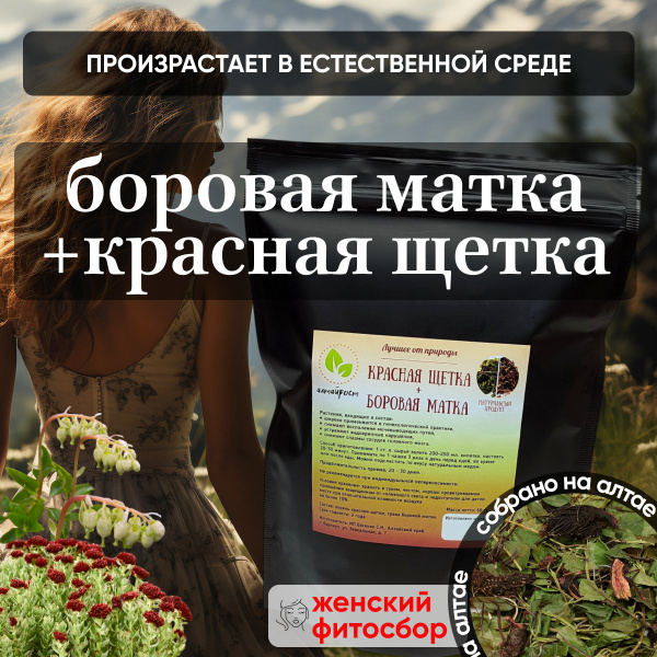 Altai Rose Herbal Blend: Bladderwrack & Red Brush for Women's Health