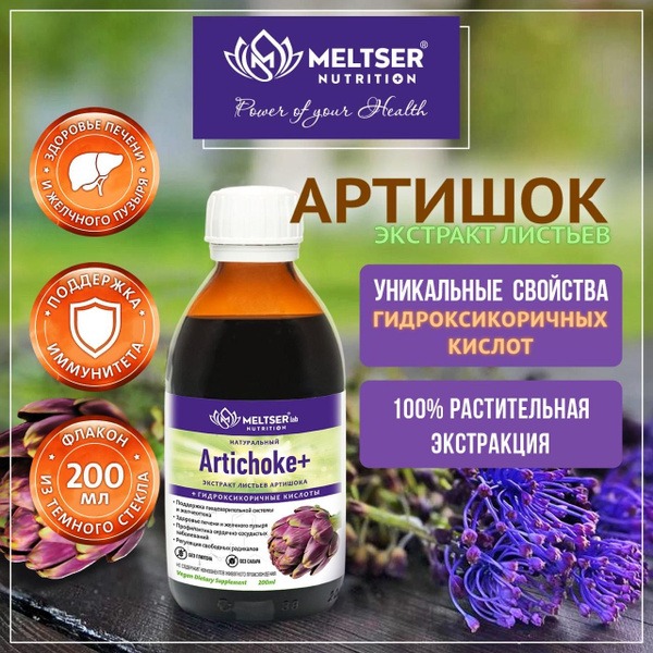 Artichoke Leaf Extract with Hydroxycinnamic Acids - ARTICHOCK+ 200ml by Meltser Nutrition